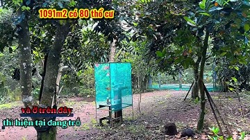 1091m2 có 80 thổ cư, có nhà nghĩ mát, vườn trái cây nhìu loại. Tại Long Khánh giá 1,850tr 