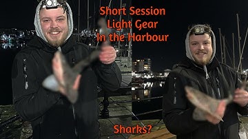 Light Gear Fishing in the Harbour, Plymouth #SeaFishingUK #SeaFishing #Plymouth