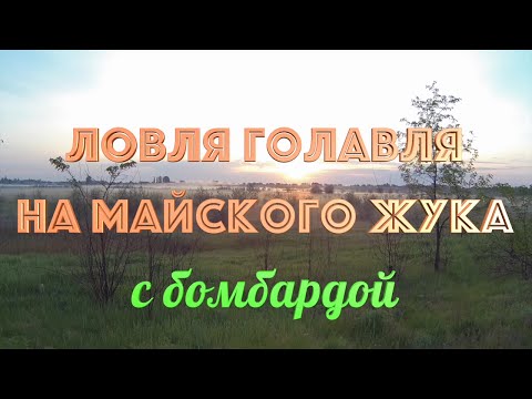 оснастки для ловли голавля на майского жука