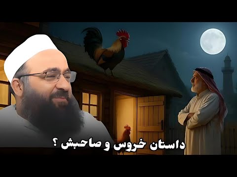 داستان طنزآمیز خروس و صاحبش مولانا بهزاد فقهی 