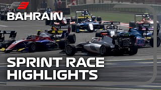 F3 Sprint Race Highlights | 2023 Bahrain Grand Prix