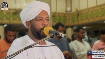 ايات من سورة النمل و القصص || من صلاة العشاء || من روااااااااائع || شيخ الزين