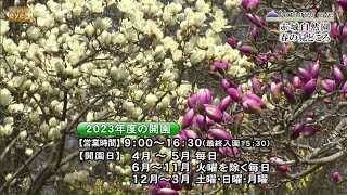 【ネイチャーズｅｙｅ】赤城自然園　春の見どころ