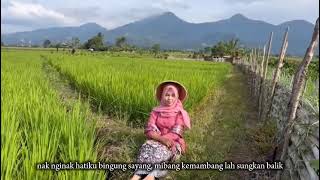 Download Lagu Berejung MP3