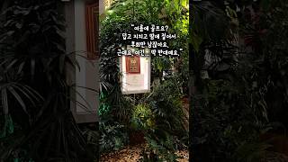 여름에 이런 골프장이 있다고요?23도 시원한 바람, 세계 100대 코스, 그리고 석양 와인까지.한 번 가보면 매년 가게 되는 그곳.중국 쿤밍 춘성CC, 진짜 찐입니다