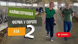 #34 Наймолочніша 🐄 ферма у Європі -2 частина. Розкажемо, як годують та доять корів 🐮