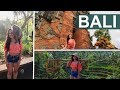 Monkey Forest, Rice Fields &amp; Temples | BALI