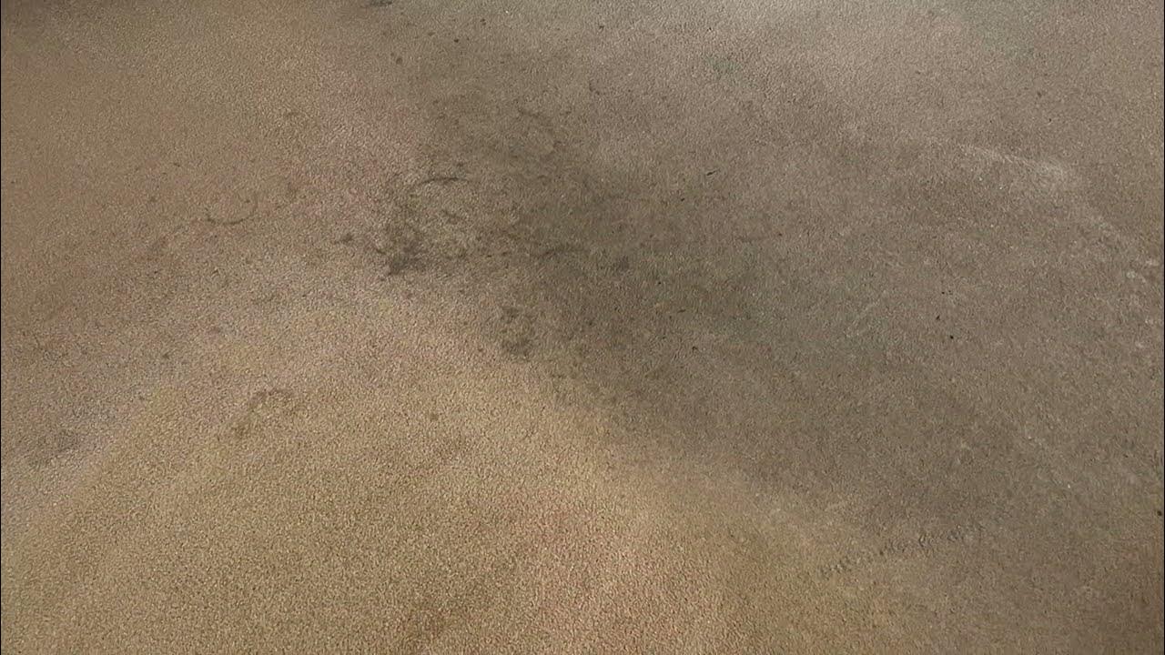 Carpet cleaning dirty carpet in Kettering 12 02 22 YouTube