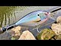 Making a ThreadFin Shad CrankBait