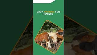 You can measure grass without walking the paddock