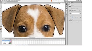 Adobe Flash trace for beginners Part 3 (CS6)