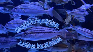 Sharjah Aquarium & Maritime Museum | #tourist Attraction | Recipes by Merium