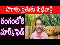 బర్లీ పొగాకు రైతుకు శుభవార్త  Amazing Agriculture