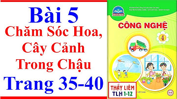 Công Nghệ Lớp 4 Bài 5 | Chăm Sóc Hoa Cây Cảnh Trong Chậu | Trang 35 – 40 | Chân Trời Sáng Tạo
