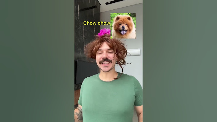 RAÇAS DE CÃES NO AMIGO SECRETO