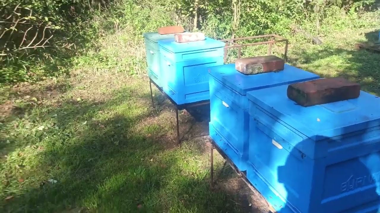 Kontrola ilości pokarmu po 2 dawkach syropu 3:2 12.09.2025