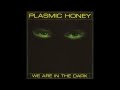 Plasmic Honey - We Are In The Dark (Lights Out Mix)
