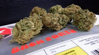 Strain Review Banana OG By Back Forty