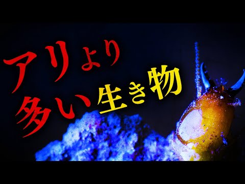 生き物の「数」