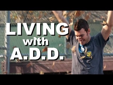 Living with A.D.D.