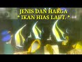 Harga Ikan Hias Laut Terbaru 🐠