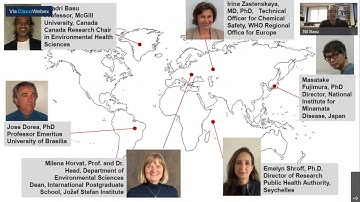 Minamata Online 2: Health risks of mercury in the context of global socio-environmental variability