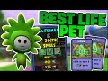 Making The Most Insane Life PVP Pet in Wizard101