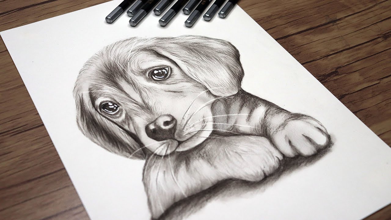 My Passion - Dog sketch drawing Done by saket khemka #painting #sketch # drawing #realistic #puppy #dog | Facebook