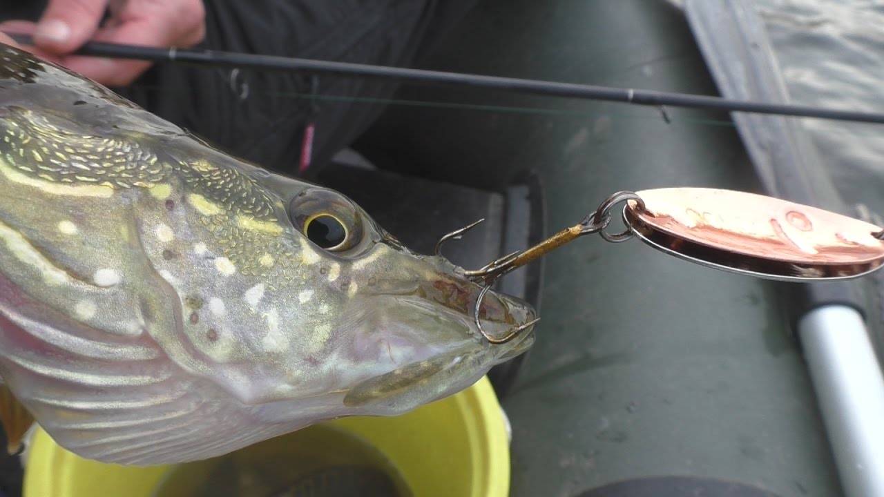 Рыбалка . Щука на кружок и на спиннинг.My fishing.