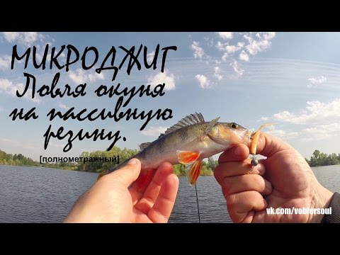 ловля окуня микроджигом пассивными приманками