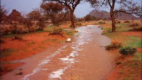 QARI AHMED TAMEEM الشيخ احمد تميم المراغي-ماتيسر من سورة الحاقة-من صلاة المغرب