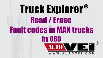 Free diagnostic of MAN trucks by OBD. Erase all fault codes