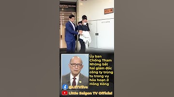 Ủy ban Chống Tham Nhũng bắt hai giám đốc công ty ᴛʀùɴɢ ᴛᴜ ᴛʀᴏɴɢ ᴠụ ʜỏᴀ ʜᴏạɴ ở Hồng Kông