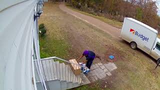 Information FedEx sucks. News