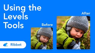 How to use the Levels tool - Ribbet web version