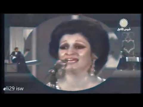     وردة حفلة ملونة مستحيل    