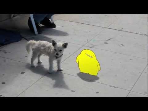 【森永製菓】子犬と仲良くなりたいぬ〜ぼ〜【ぬ～ぼ～CM動画コレクション】