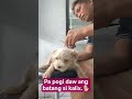 MY FUR PARENTS LIFE🐕🐕🐕pa, pogi daw ang naknak ko.