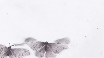 RCA graduate show 2018 animation trailer