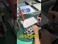 FLE