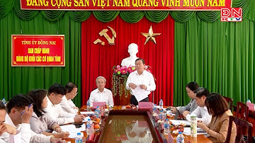 Kiểm tra việc thực hiện Nghị quyết, Chỉ thị của Đảng năm 2024 tại Đảng ủy Khối các cơ quan tỉnh