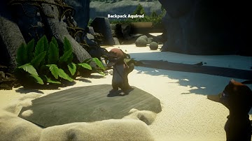 Pickup Backpack Update  - (Unreal Engine 4) | Platypus Adventures