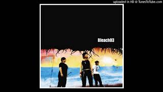 Bleach - 雷光 (枯れ木に花は咲かない)