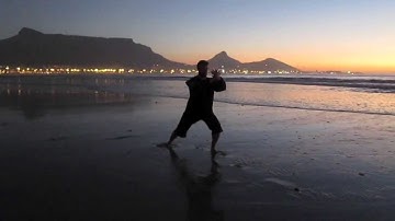 Neijia Quan: Bagua, Xing yi and Taiji