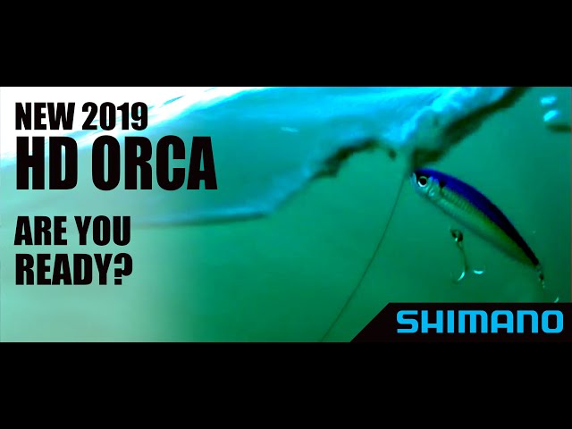 2019 Shimano HD-ORCA 