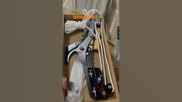 KÉO CẮT CÀNH TRÊN CAO CỦA NHẬT