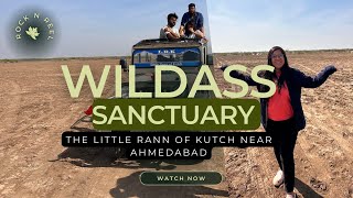 The Little Rann of Kutch Near Ahmedabad | Wild Ass Sanctuary Bajana which is also a Bird Sanctuary