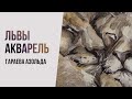 Как нарисовать львов акварелью. Уроки рисования акварелью. Львы