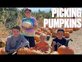 PUMPKIN PATCH PERFECT PUMPKIN PICKING WITH A PECULIAR TWIST