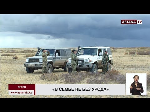 "Крышевали" браконьеров: госинспекторы «Охотзоопрома» начали увольняться